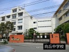 中学校 300m 向丘中学校