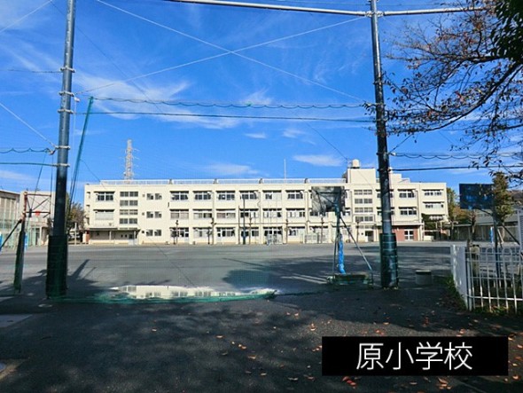 小学校 600m 原小学校