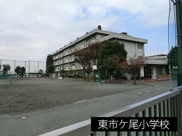 小学校 500m 東市ケ尾小学校