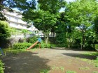公園 350m 高石あかね公園