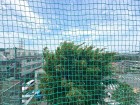 バルコニーからの眺望