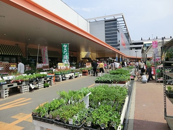 ホームセンター 800m 島忠ホームズ新山下店