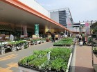 ホームセンター 800m 島忠ホームズ新山下店