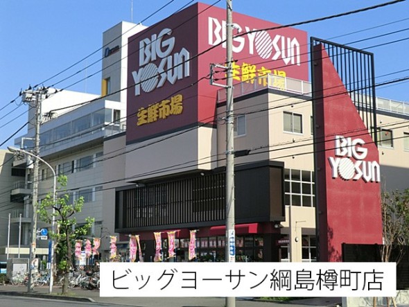スーパー 1100m ビッグヨーサン綱島樽町店