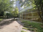 共用部分は緑も多く、落ち着いた環境です