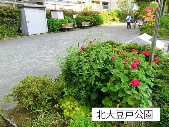 公園 140m 北大豆戸公園