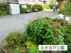 公園 140m 北大豆戸公園