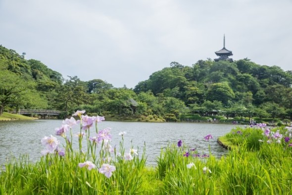 その他環境写真 600m 三渓園