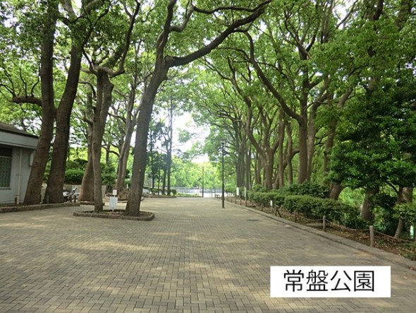 公園 350m 常盤公園