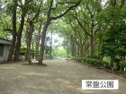 公園 350m 常盤公園