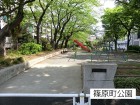 公園 54m 篠原町公園