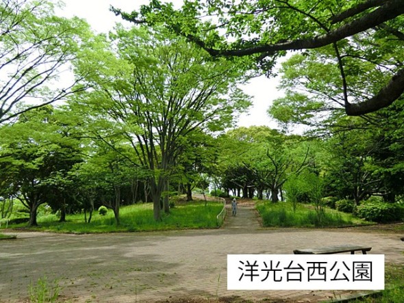 公園 700m 洋光台西公園