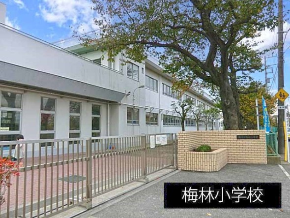 小学校 550m 梅林小学校