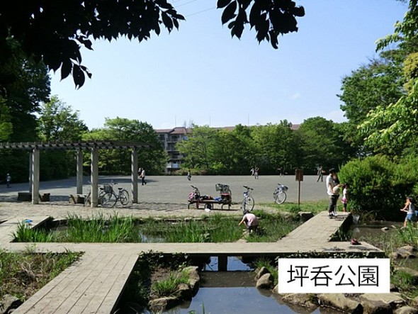 公園 350m 坪呑公園