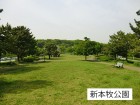 公園 450m 新本牧公園