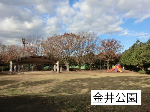 公園 650m 金井公園