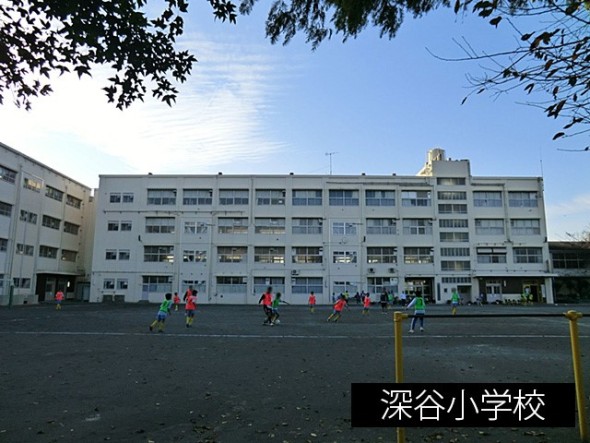 小学校 550m 深谷小学校