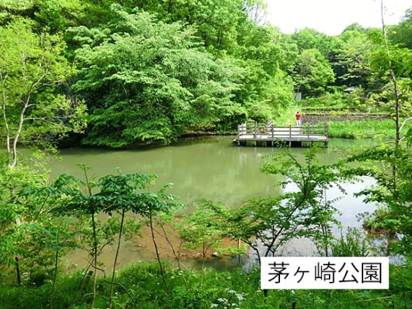 公園 450m 茅ヶ崎公園