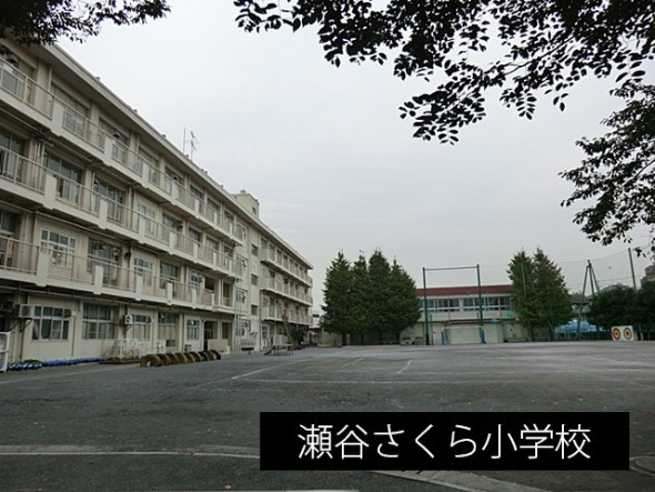 小学校 230m 瀬谷さくら小学校