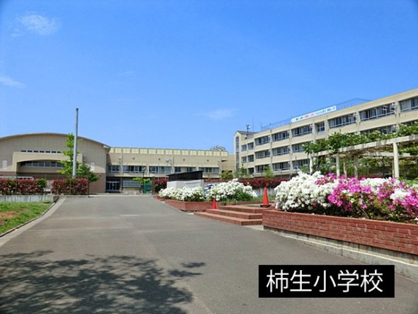 小学校 1000m 柿生小学校