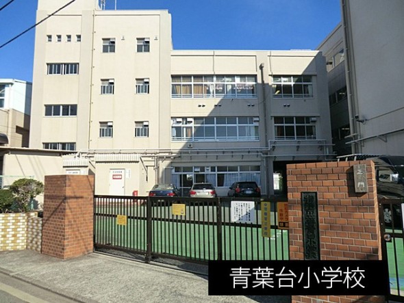 小学校 650m 青葉台小学校