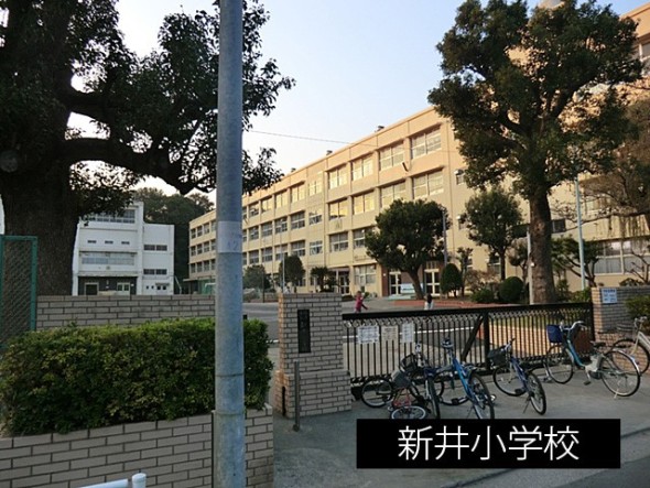 小学校 800m 新井小学校