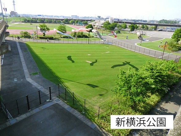 公園 1500m 新横浜公園