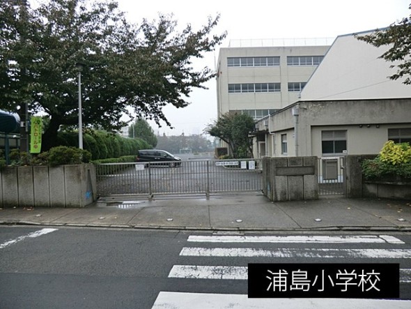 小学校 500m 浦島小学校