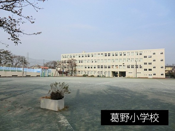 小学校 500m 葛野小学校