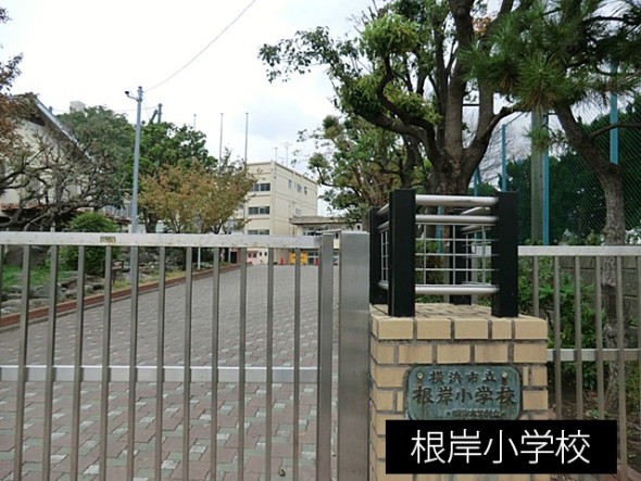 小学校 300m 横浜市立根岸小学校