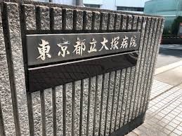 その他環境写真 400m 東京都立大塚病院