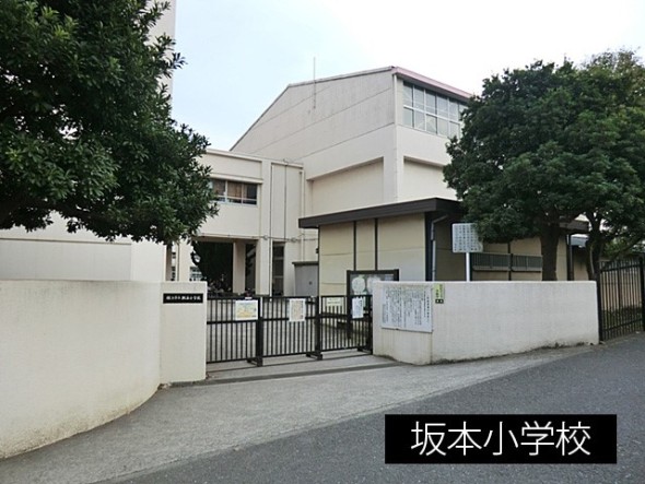 小学校 1000m 坂本小学校