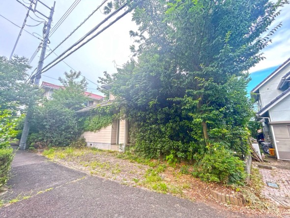 現地写真