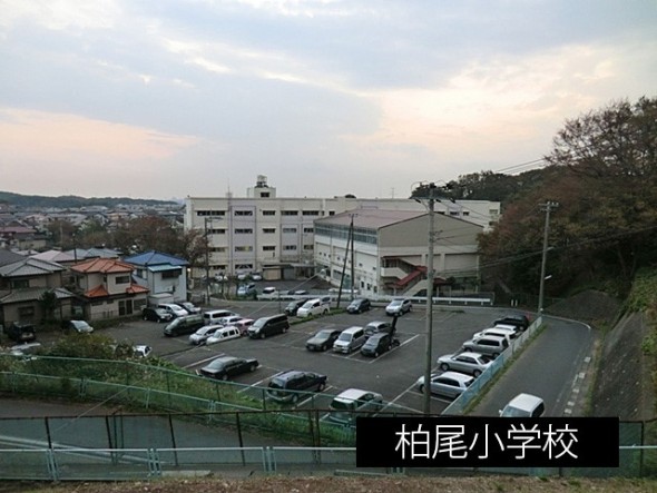 小学校 1100m 柏尾小学校