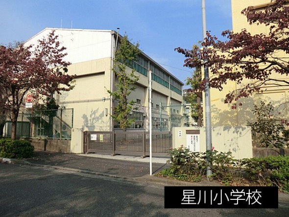 小学校 450m 星川小学校