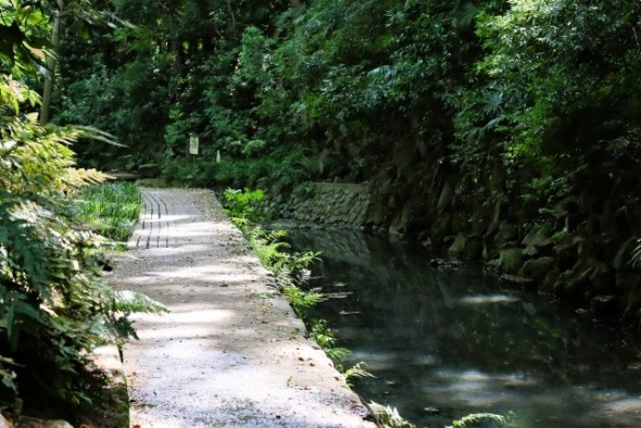 公園 150m 等々力渓谷