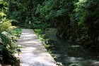 公園 150m 等々力渓谷