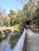 その他環境写真 270m 等々力不動尊