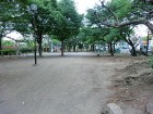 公園 240m 井田公園