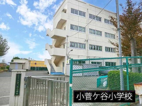 小学校 350m 小菅ケ谷小学校