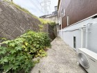現地写真
