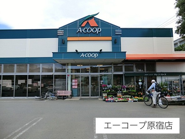 スーパー 450m Aコープ原宿店