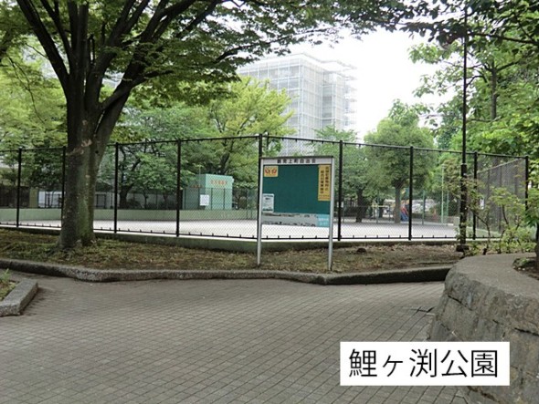 公園 65m 鯉ヶ渕公園