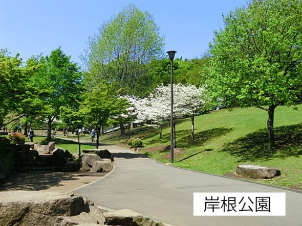公園 420m 岸根公園