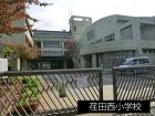 小学校 1300m 荏田西小学校