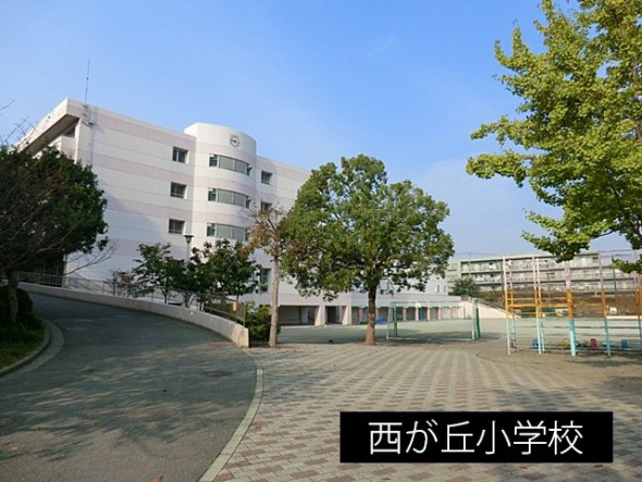 小学校 700m 西が岡小学校