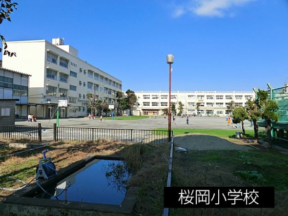 小学校 240m 桜岡小学校