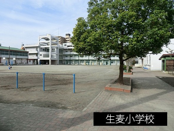小学校 230m 生麦小学校