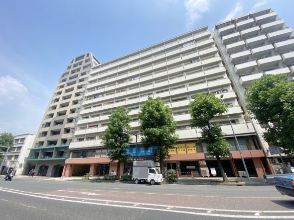 爽やかな青空の下に贅沢なほどに降り注ぐ陽光、豊かな居住性と、クオリティが見事に調和した住空間は、住まうことの喜びを感じさせてくれ