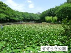 公園 800m せせらぎ公園